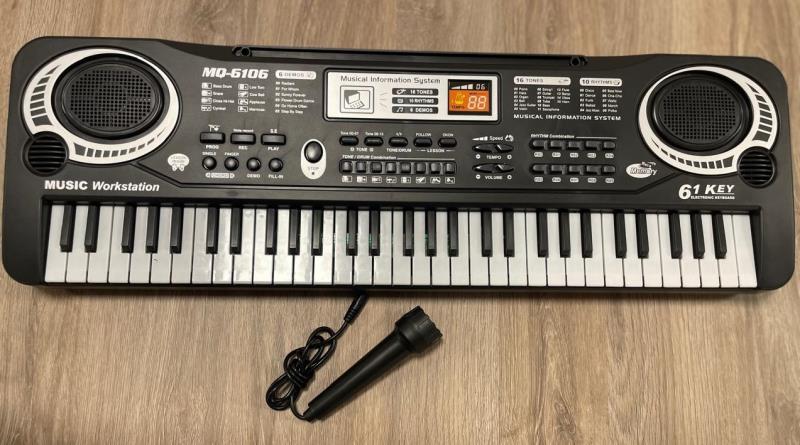 ORGANO A PILA CON MICROFONO